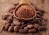 مصرف کاکائو فشار خون بالا و سفتی شریان را کاهش می‌دهد
